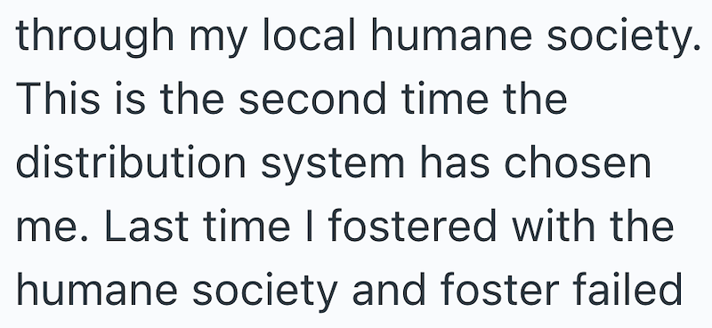 through my local humane society. This is the second time the distribution system has chosen me. Last time I fostered with the humane society and foster failed