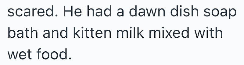 scared. He had a dawn dish soap bath and kitten milk mixed with wet food.