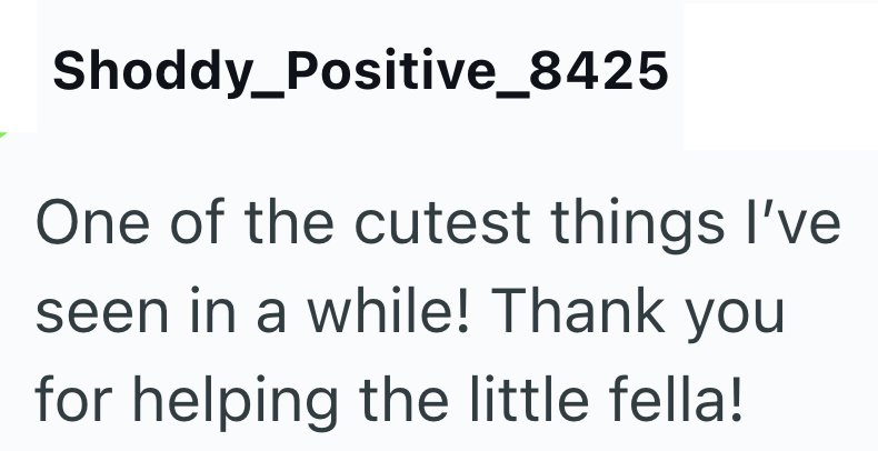 Shoddy_Positive_8425 One of the cutest things I've seen in a while! Thank you for helping the little fella!