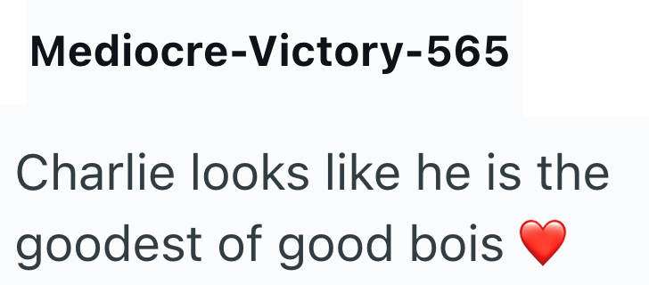 Mediocre-Victory-565 Charlie looks like he is the goodest of good bois