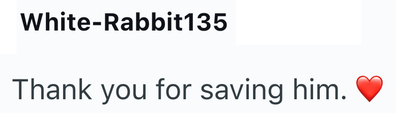 White-Rabbit135 Thank you for saving him.
