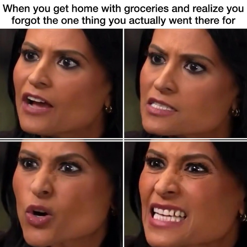When you get home with groceries and realize you forgot the one thing you actually went there for 94 wwwwwww