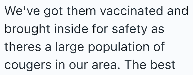 We've got them vaccinated and brought inside for safety as theres a large population of cougers in our area. The best