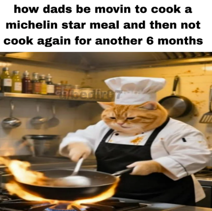 how dads be movin to cook a michelin star meal and then not cook again for another 6 months