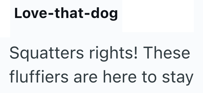 Love-that-dog Squatters rights! These fluffiers are here to stay