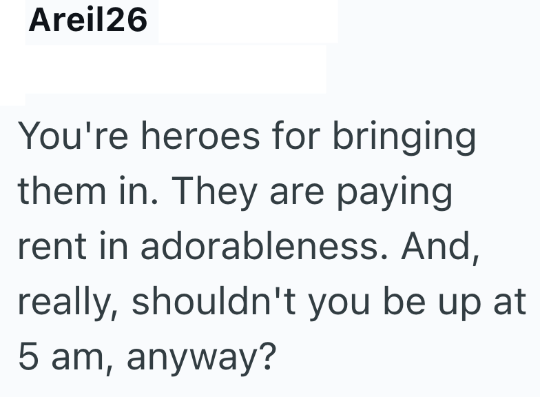 Areil26 You're heroes for bringing them in. They are paying rent in adorableness. And, really, shouldn't you be up at 5 am, anyway?