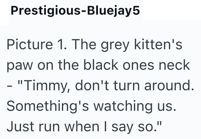 Prestigious-Bluejay5 Picture 1. The grey kitten's paw on the black ones neck - - "Timmy, don't turn around. Something's watching us. Just run when I say so."