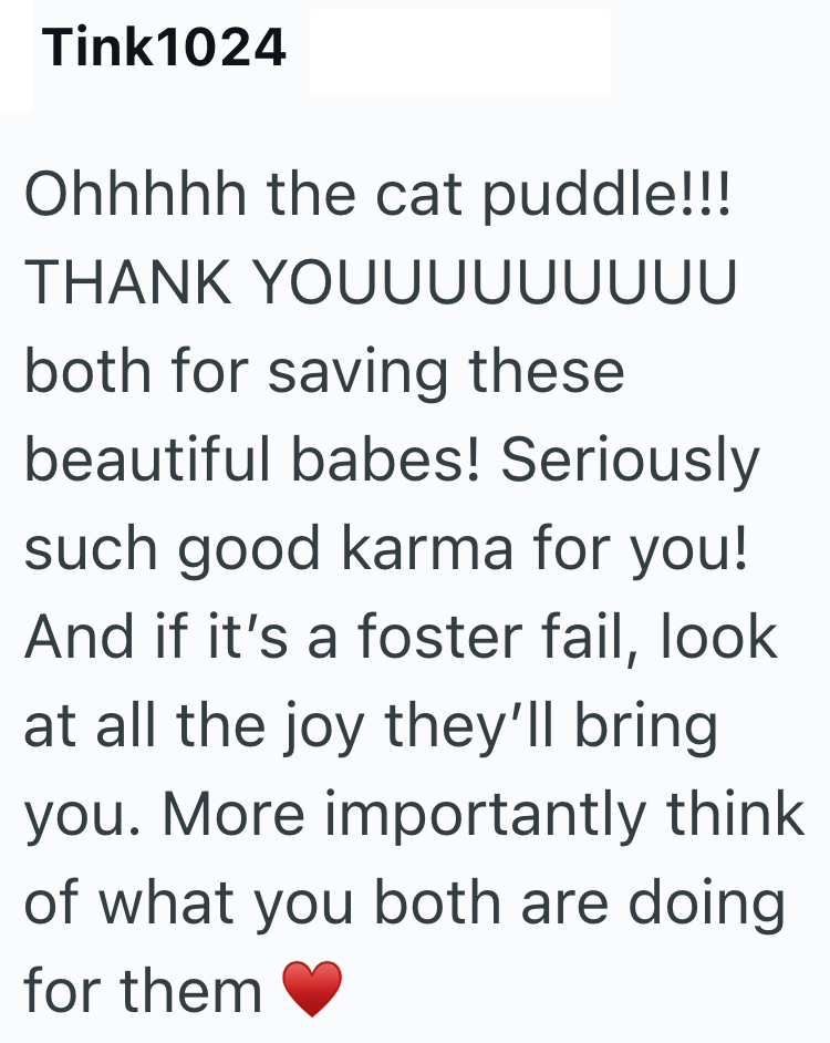 Tink1024 Ohhhhh the cat puddle!!! THANK YOUบบบบบบบบ both for saving these beautiful babes! Seriously such good karma for you! And if it's a foster fail, look at all the joy they'll bring you. More importantly think of what you both are doing for them