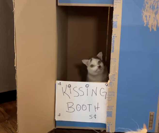 b KISSING BOOTH 5¢ Brew Walmart+