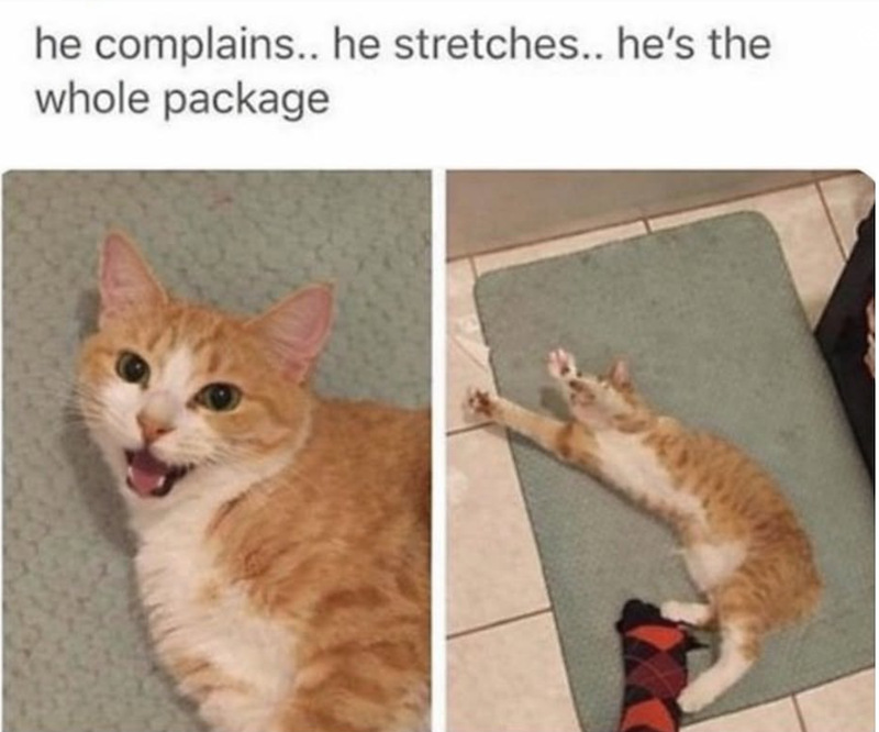 he complains.. he stretches.. he's the whole package