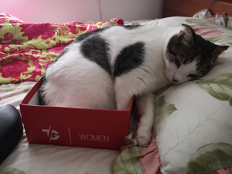 AT WOMEN