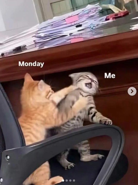 Monday Me AFD >