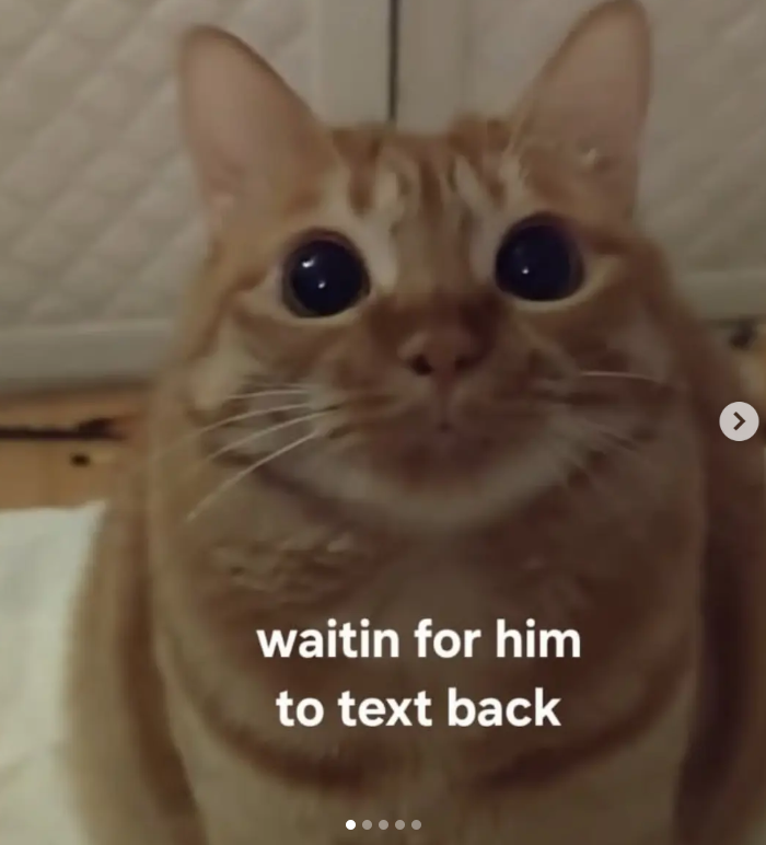 waitin for him to text back >