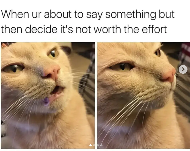 When ur about to say something but then decide it's not worth the effort >