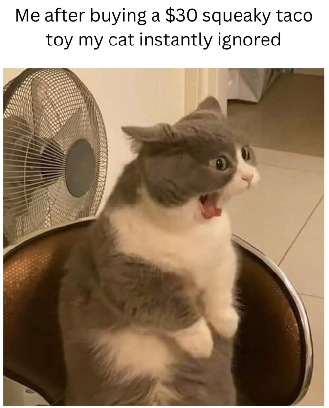 Me after buying a $30 squeaky taco toy my cat instantly ignored