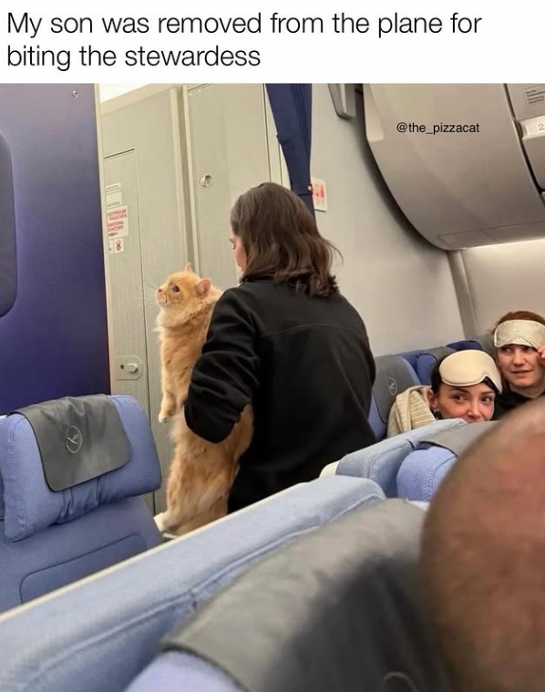 My son was removed from the plane for biting the stewardess @the_pizzacat 2