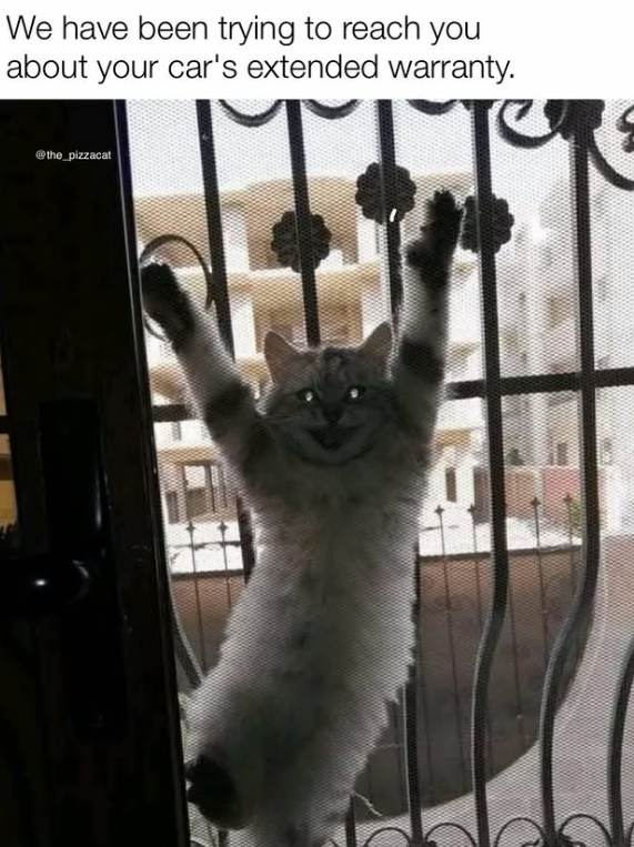 We have been trying to reach you about your car's extended warranty. @the_pizzacat 00000000