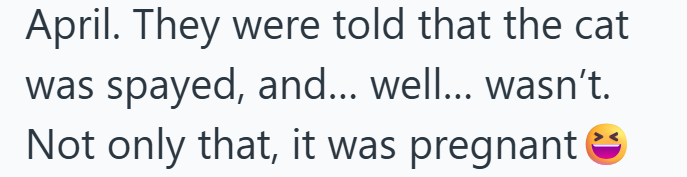 April. They were told that the cat was spayed, and... well... wasn't. Not only that, it was pregnant