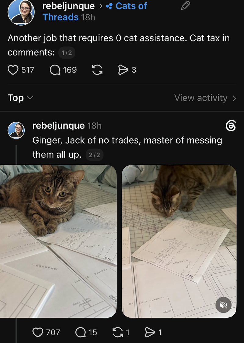 rebeljunque > •: Cats of Threads 18h Another job that requires O cat assistance. Cat tax in comments: 1/2 517 Q 169 G D 3 Top View activity > rebeljunque 18h Ginger, Jack of no trades, master of messing them all up. 2/2 ep/hip line BSSKO-13/03sras линия бед 108 d/ ex dool ex ZOB ad bdxne/ 08-40 $1 lo 100 id ex GRASSER.RU/EN-GRASSE 707 Q15 1 > 1 бeд лини