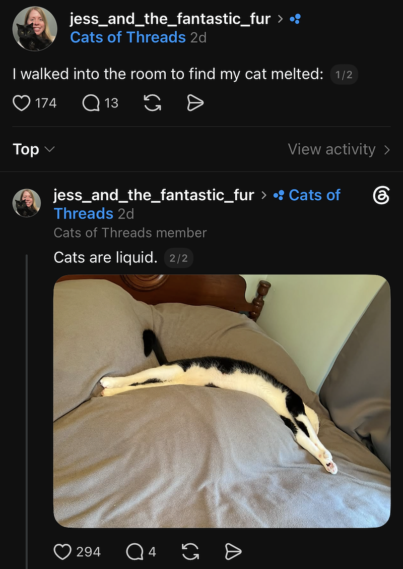 jess_and_the_fantastic_fur > Cats of Threads 2d I walked into the room to find my cat melted: 1/2 174 Q 13 > G Тор View activity > ☎ jess_and_the_fantastic_fur > •: Cats of Threads 2d Cats of Threads member Cats are liquid. 2/2 294 D Q 4 G >