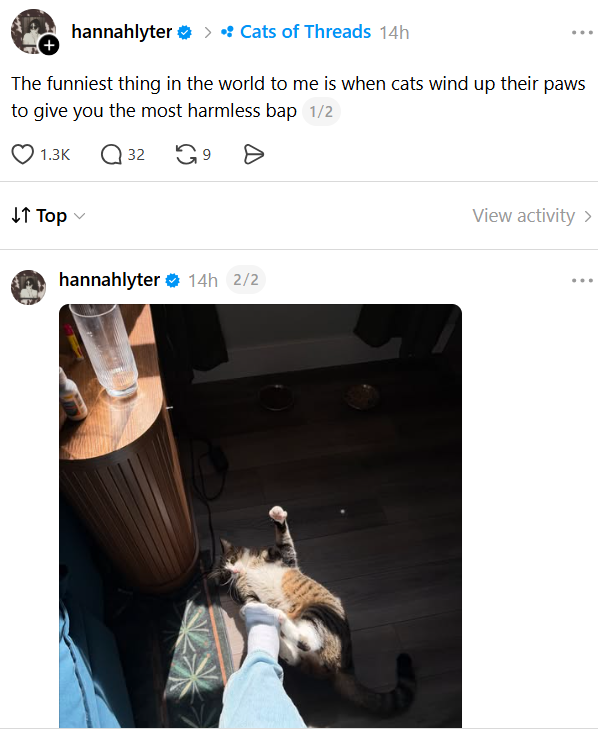 hannahlyter > • Cats of Threads 14h The funniest thing in the world to me is when cats wind up their paws to give you the most harmless bap 1/2 1.3K Q 32 9 Ө ↓↑ Top hannahlyter 14h 2/2 View activity >