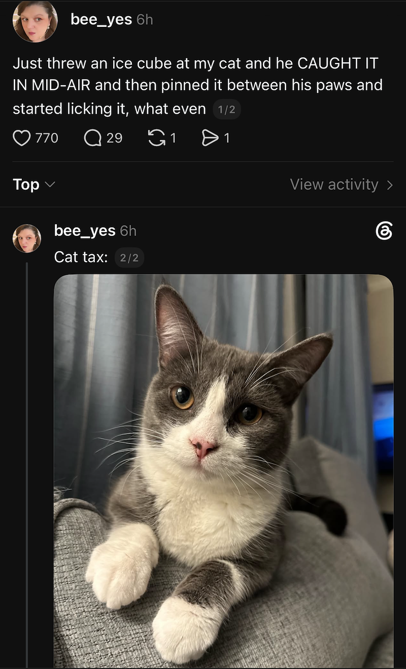 bee_yes 6h Just threw an ice cube at my cat and he CAUGHT IT IN MID-AIR and then pinned it between his paws and started licking it, what even 1/2 770 Q 29 1 > 1 Тор View activity > bee_yes 6h கு Cat tax: 2/2
