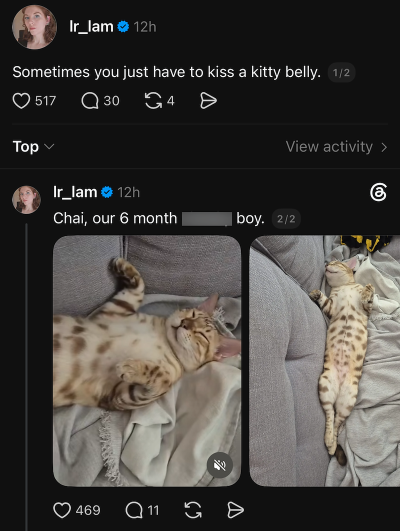 Ir_lam 12h Sometimes you just have to kiss a kitty belly. 1/2 517 Q 30 G4 Ө View activity > Top Ir_lam 12h Chai, our 6 month boy. 2/2 469 Q11 GÐ