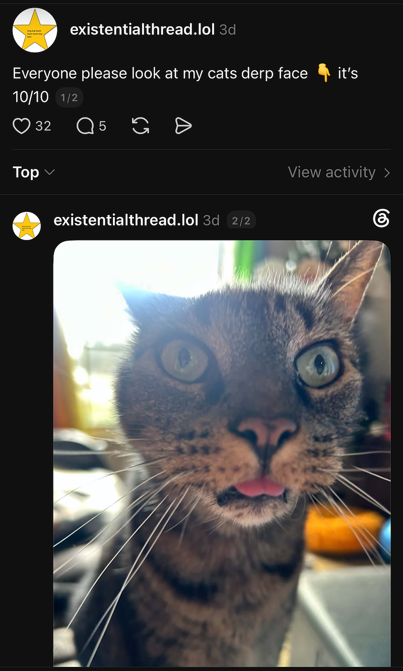 bing bep boom existentialthread.lol 3d Everyone please look at my cats derp face it's 10/10 1/2 32 Q 5 G Top existentialthread.lol 3d 2/2 View activity > கு Y