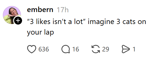 embern 17h "3 likes isn't a lot" imagine 3 cats on your lap 636 Q16 29 Өт