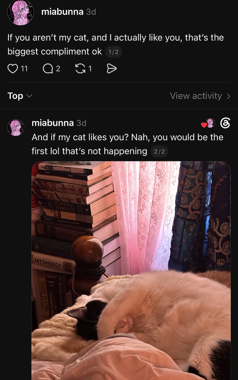 miabunna 3d If you aren't my cat, and I actually like you, that's the biggest compliment ok 1/2 11 Q 2 1 Тор View activity > miabunna 3d And if my cat likes you? Nah, you would be the first lol that's not happening 2/2 OCHI THRONES BOOK OBERON CLASSICAL MYTHOLOGY The Witch's Heart HARRY POTTER