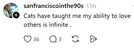 sanfranciscointhe90s 15h Cats have taught me my ability to love others is infinite. 36 Q 3 G =