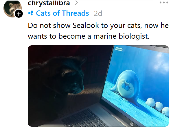 chrystallibra > + • Cats of Threads 2d Do not show Sealook to your cats, now he wants to become a marine biologist. semook 9 PO