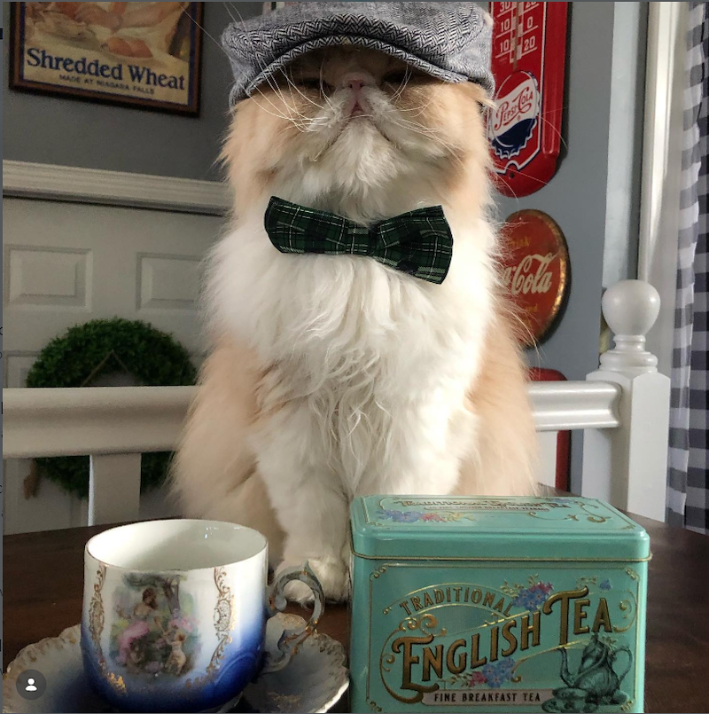 Shredded Wheat MADE AT NIAGARA FALLS 10 20 Peas Coa Cola TRADITIONAL ENGLISH TEA FINE BREAKFAST TEA