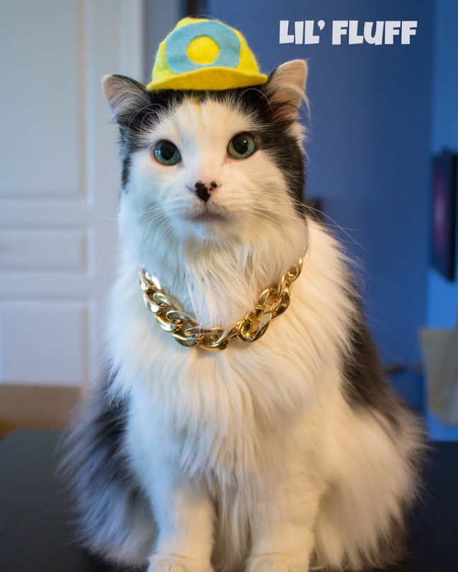 LIL' FLUFF