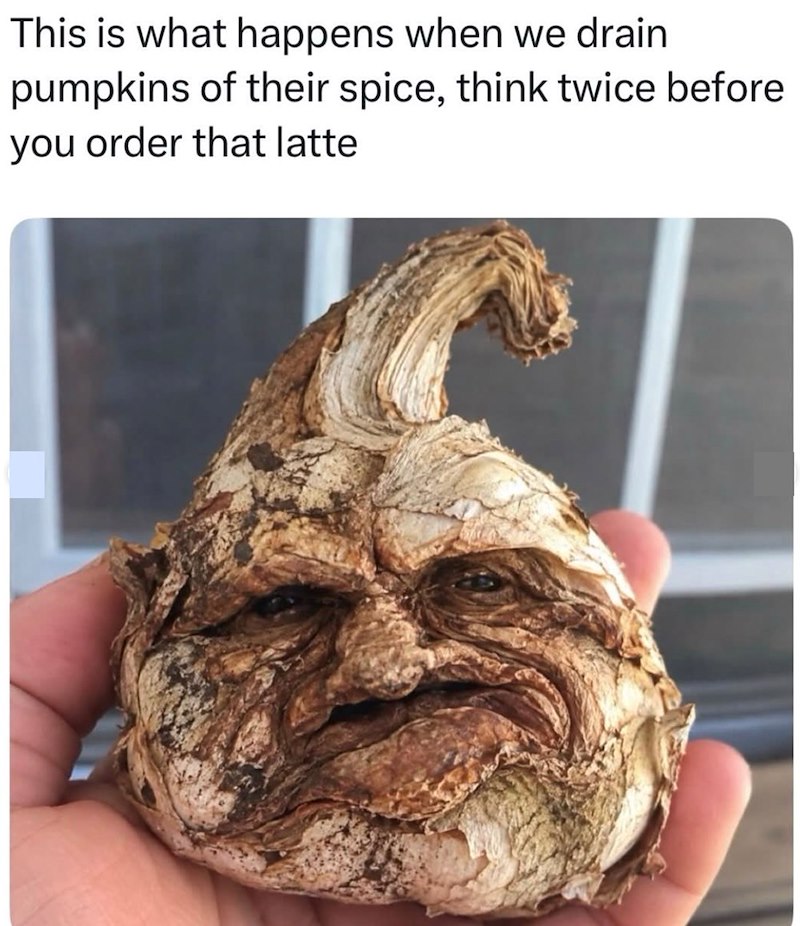 This is what happens when we drain pumpkins of their spice, think twice before you order that latte