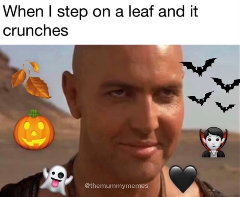 When I step on a leaf and it crunches @themummymemes