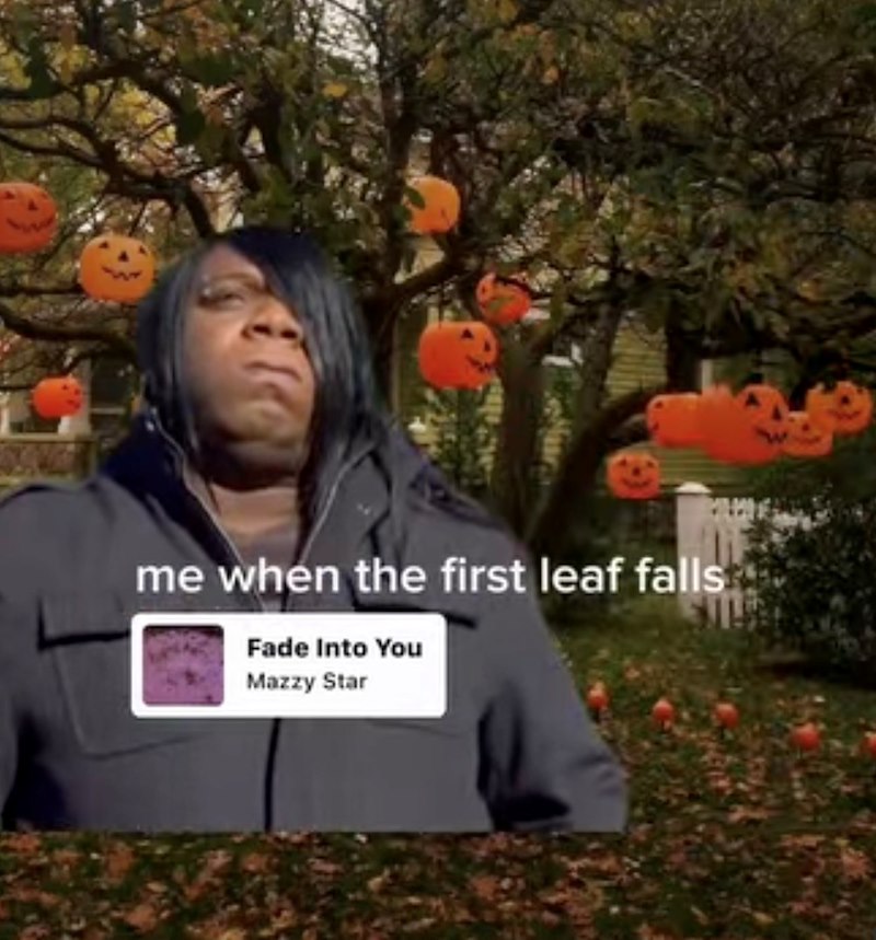 me when the first leaf falls Fade Into You Mazzy Star