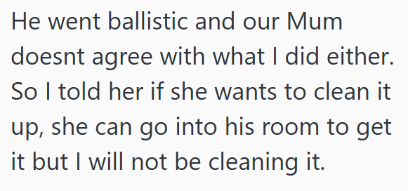 He went ballistic and our Mum doesnt agree with what I did either. So I told her if she wants to clean it up, she can go into his room to get it but I will not be cleaning it.