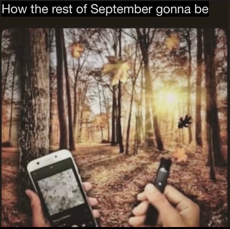 How the rest of September gonna be
