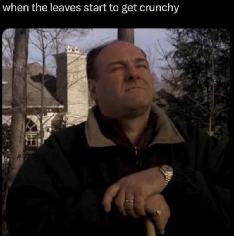 when the leaves start to get crunchy