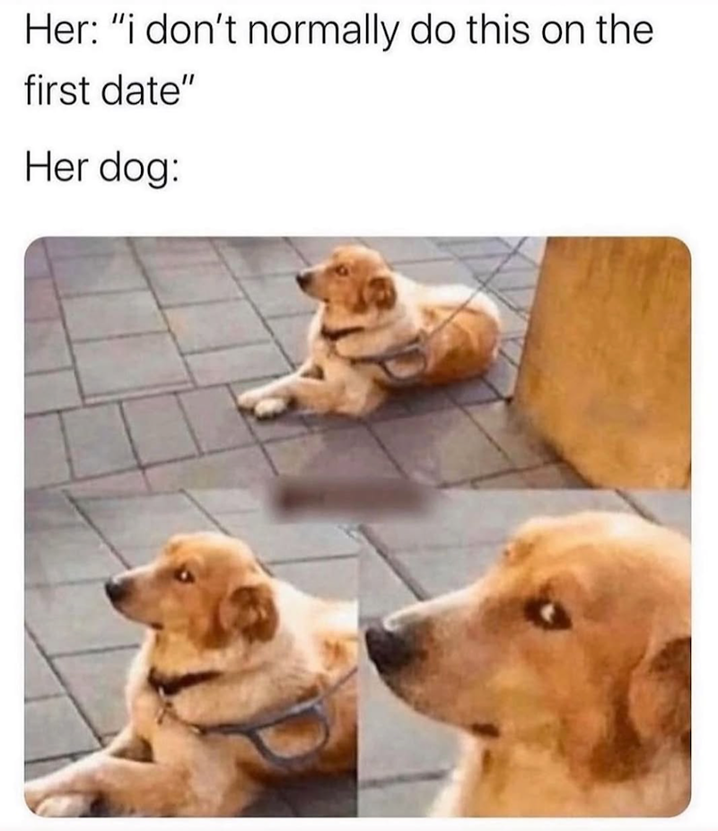 Her: "i don't normally do this on the first date" Her dog: