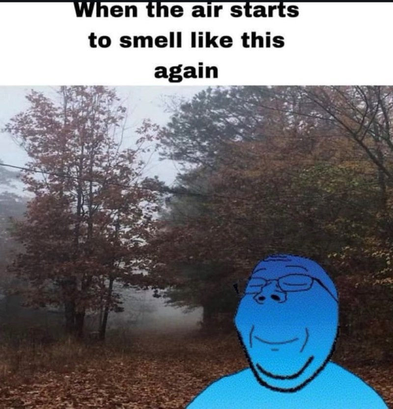 When the air starts to smell like this again