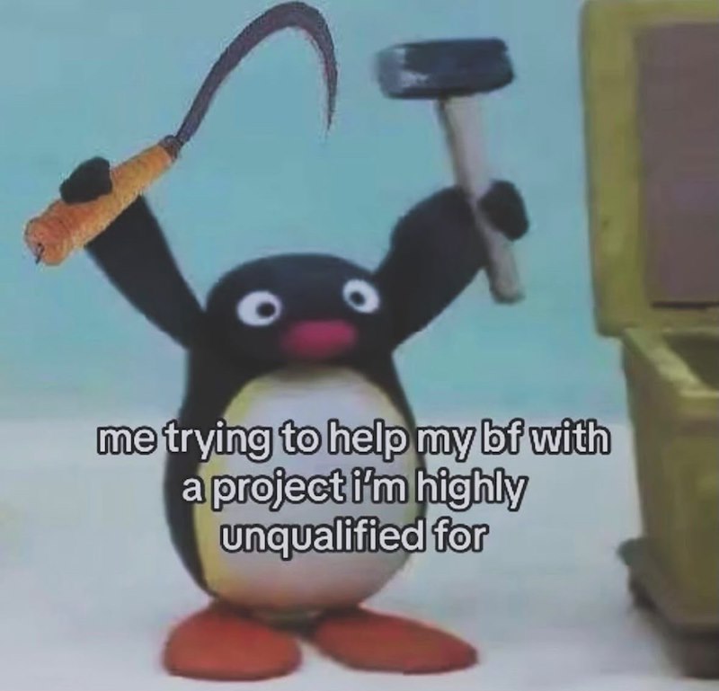 me trying to help my bf with a project i'm highly unqualified for