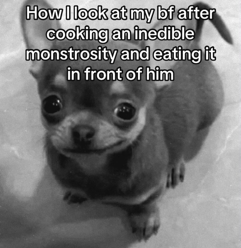 How I look at my bf after cooking an inedible monstrosity and eating it in front of him