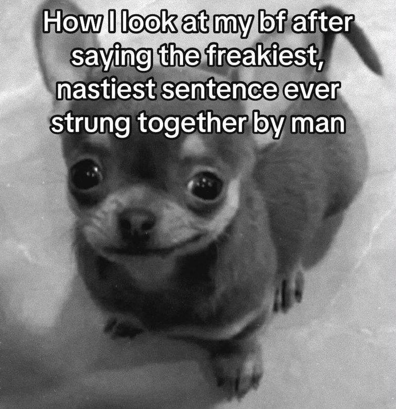 How I look at my bf after saying the freakiest, nastiest sentence ever strung together by man
