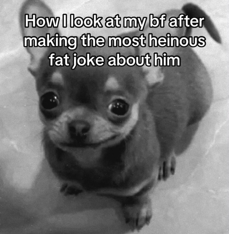 How I look at my bf after making the most heinous fat joke about him