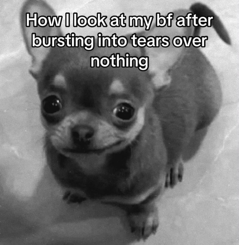 How I look at my bf after bursting into tears over nothing