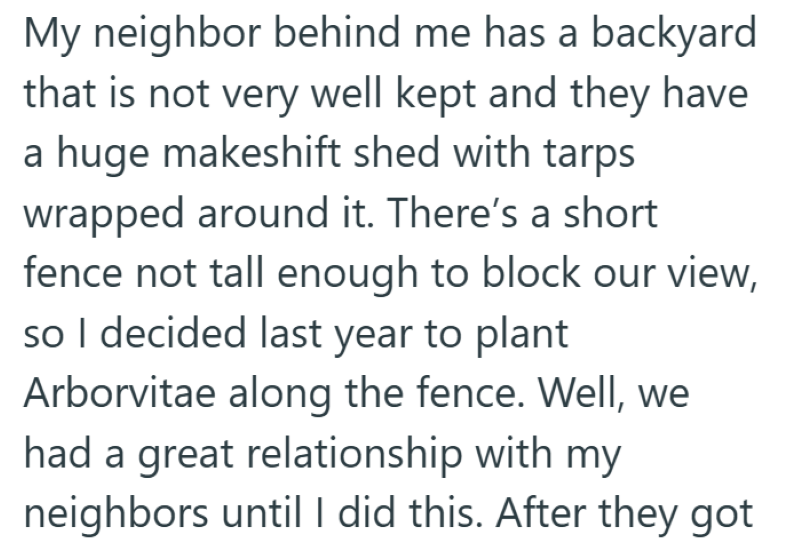 My neighbor behind me has a backyard that is not very well kept and they have a huge makeshift shed with tarps wrapped around it. There's a short fence not tall enough to block our view, so I decided last year to plant Arborvitae along the fence. Well, we had a great relationship with my neighbors until I did this. After they got