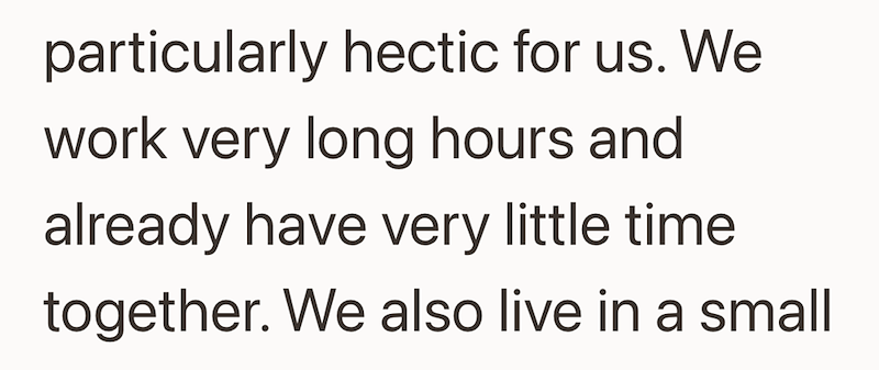 particularly hectic for us. We work very long hours and already have very little time together. We also live in a small