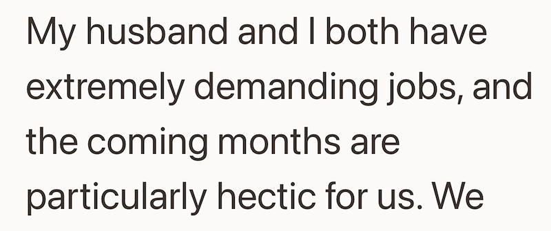 My husband and I both have extremely demanding jobs, and the coming months are particularly hectic for us. We
